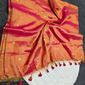 Viral Raga Gini Tissue Saree